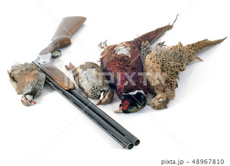 hunting games 48967810