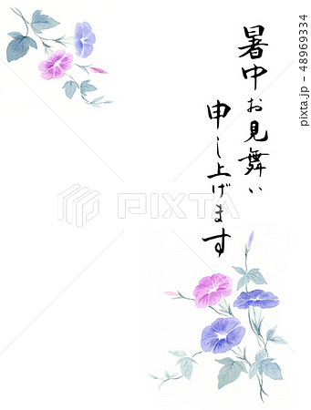 暑中はがき　和風　朝顔　水彩 48969334