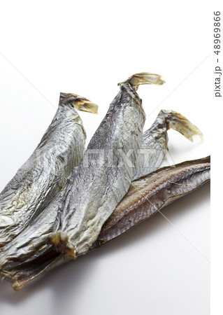 身欠きにしん16 身欠きにしん16 48969866