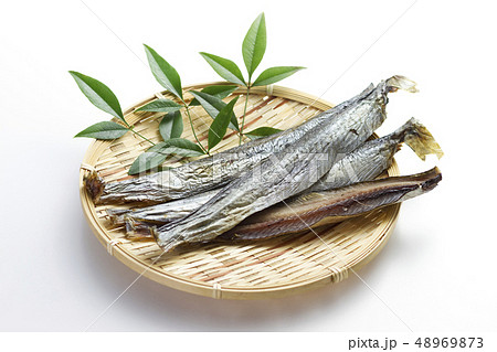 身欠きにしん4 48969873