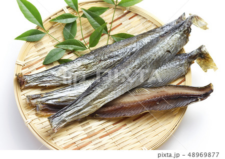 身欠きにしん8 身欠きにしん8 48969877