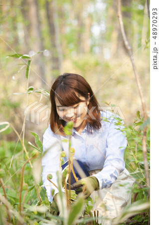 山菜採りをする女性 山菜採りをする女性 48970293