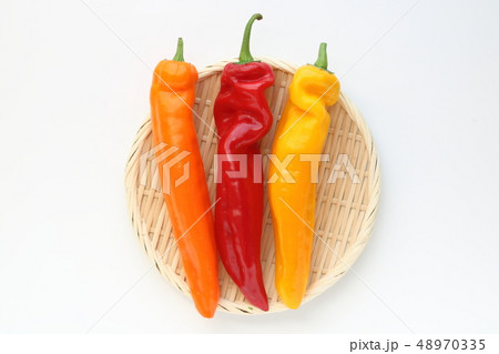 パレルモ パレルモ 48970335