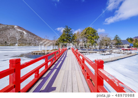 氷結の大沼と啄木鳥橋 48970988