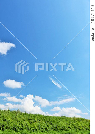 夏の青空と草原 夏の青空と草原 48971113