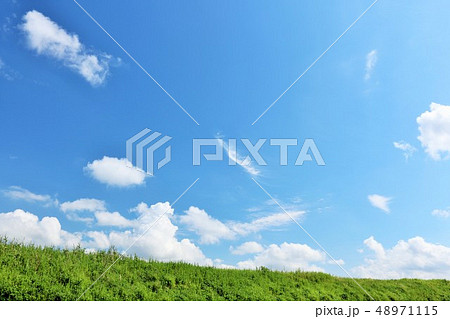 夏の青空と草原 夏の青空と草原 48971115