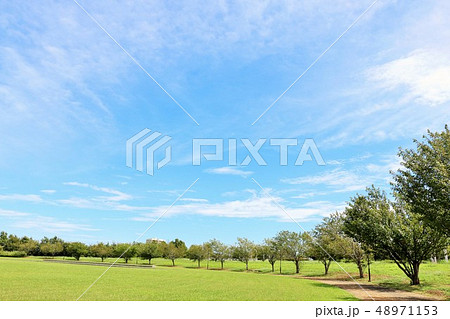 爽やかな青空と街の公園風景 48971153