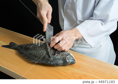 魚を捌く板前 48971183