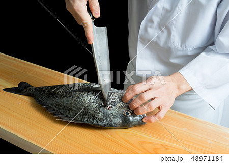 魚を捌く板前 48971184