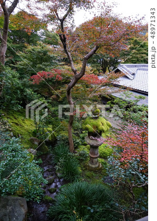 日本庭園の風景 日本庭園の風景 48971343