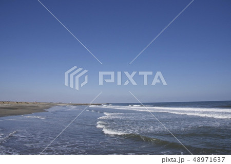 釣ヶ崎海岸 Tsurigasaki Beach（3月/March） 48971637