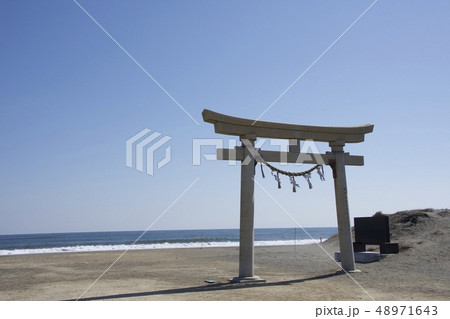 釣ヶ崎海岸 Tsurigasaki Beach(3月/March) 釣ヶ崎海岸 Tsurigasaki Beach(3月/March) 48971643