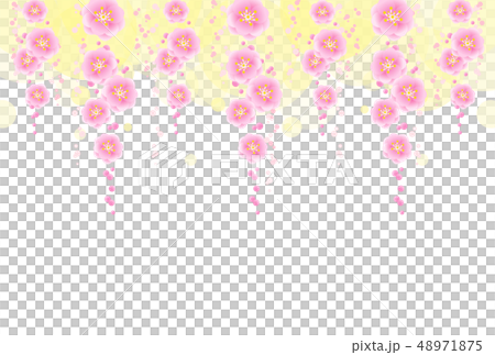 叼著梅花 叼著梅花 48971875