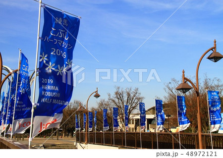 練馬こぶしハーフマラソンの写真素材