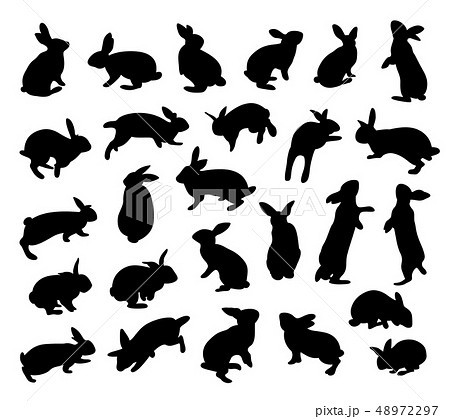 Silhouette Rabbit Set Animal Flat Icon のイラスト素材