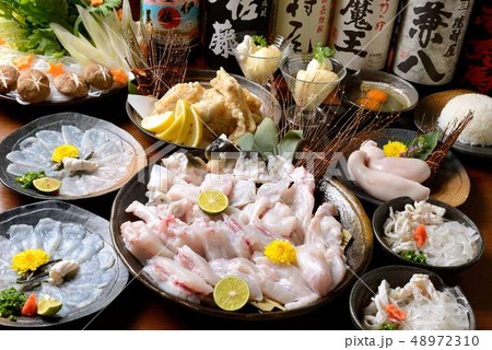 和食・ふぐ鍋料理 和食・ふぐ鍋料理 48972310