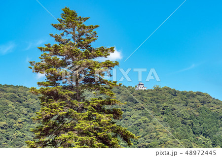 岩国城 山頂の天守 48972445