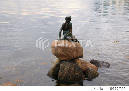 人魚姫 人魚姫 48972705