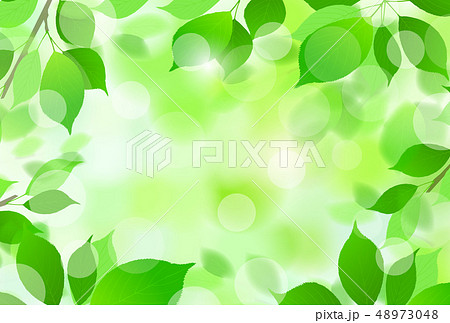 新緑 葉 緑 背景のイラスト素材