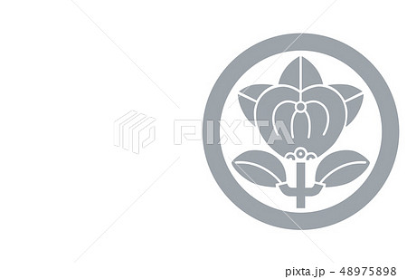 武将家紋銀井伊直政 48975898