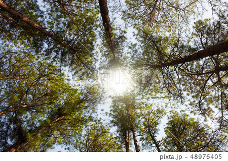 Cedar Park with a blue sky 48976405