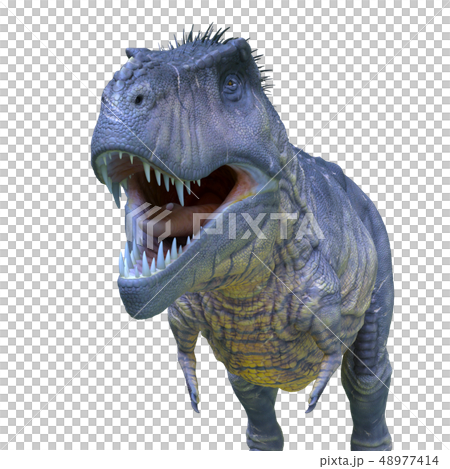 dinosaur dinosaur 48977414