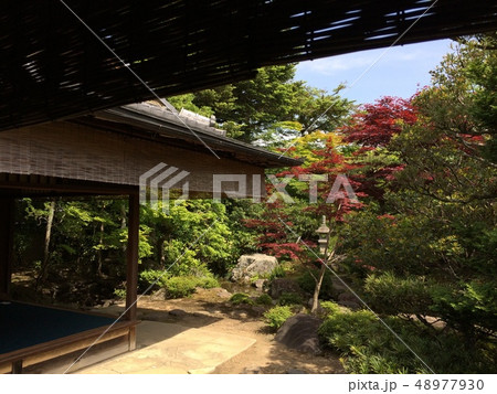 西村家庭園 西村家庭園 48977930