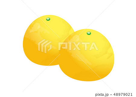 文旦 48979021