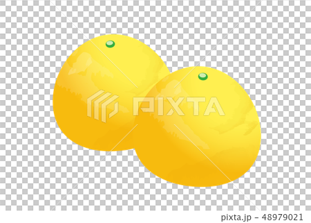 Fumari 48979021