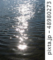 水面のきらめき 48980273