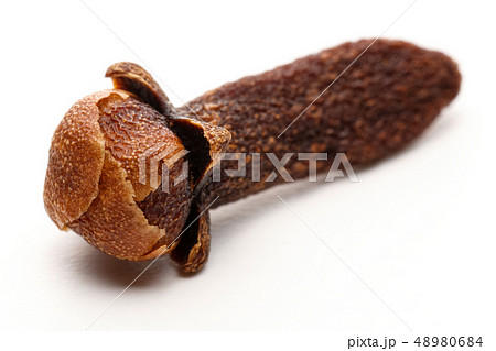 Dry clove bud isolated on white 48980684