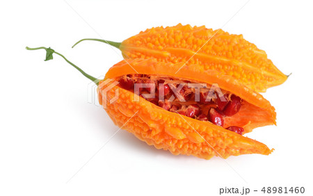 Momordica isolated on white background. 48981460