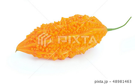 Momordica isolated on white background. 48981463
