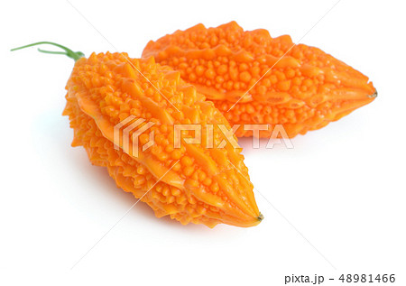 Momordica isolated on white background. Momordica isolated on white background. 48981466