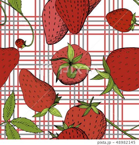 Vector Strawberry fresh fruit healthy food. Red and green engraved ink art. Seamless background 48982145