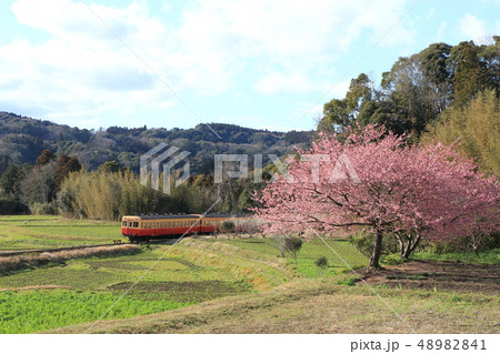 小湊鐵道「3月上旬の石神里山風景」 小湊鐵道「3月上旬の石神里山風景」 48982841