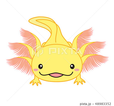 ウーパールーパー 全身 Axolotl 黄色のイラスト素材 [48983352] - PIXTA
