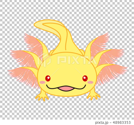 Wooper S Whole Body Axolotl Golden Albino Stock Illustration 48983353 Pixta