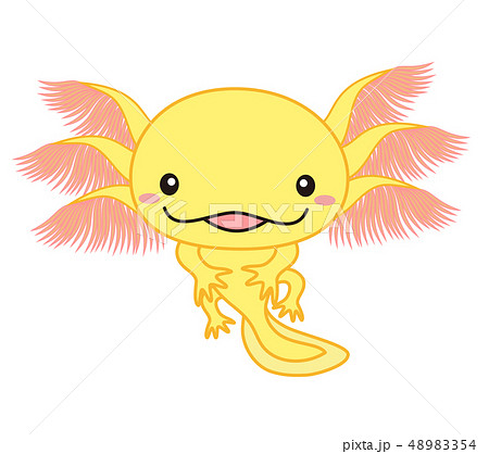 ウーパールーパー 全身 Axolotl 黄色のイラスト素材 4354