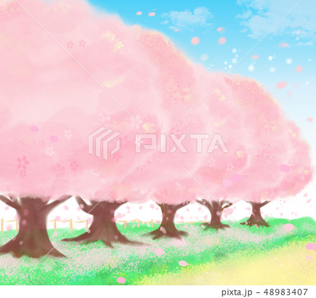 やさしいタッチ、晴れた日の春の桜並木道 48983407