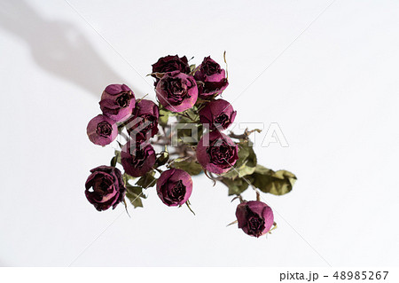 薔薇 ドライフラワー 花瓶 薔薇 ドライフラワー 花瓶 48985267