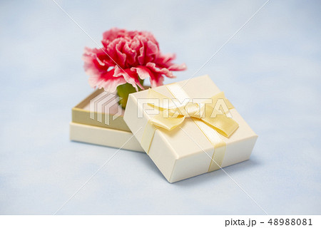 プレゼント　ギフト　イメージ 48988081