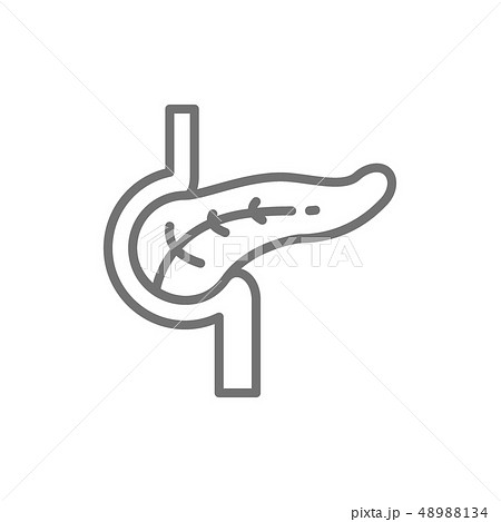 Pancreas, human organ line icon. Pancreas, human organ line icon. 48988134