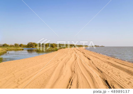 Panorama of the shoreline of Lake Khanka Panorama of the shoreline of Lake Khanka 48989137