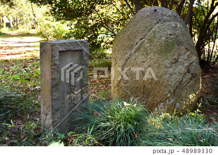 東京大学大学院理学系研究科付属植物園・関東大震災記念碑 東京大学大学院理学系研究科付属植物園・関東大震災記念碑 48989330