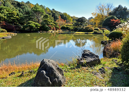 東京大学大学院理学系研究科付属植物園・日本庭園 48989332