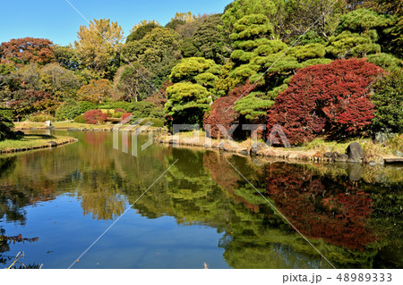 東京大学大学院理学系研究科付属植物園・日本庭園 48989333