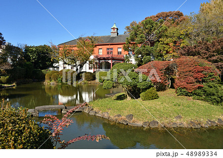 東京大学大学院理学系研究科付属植物園 日本庭園の写真素材 4334