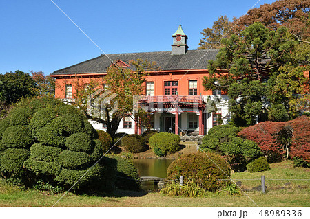 東京大学大学院理学系研究科付属植物園 日本庭園の写真素材 4336