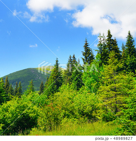 Scenic mountains, meadows and blue sky. Scenic mountains, meadows and blue sky. 48989827